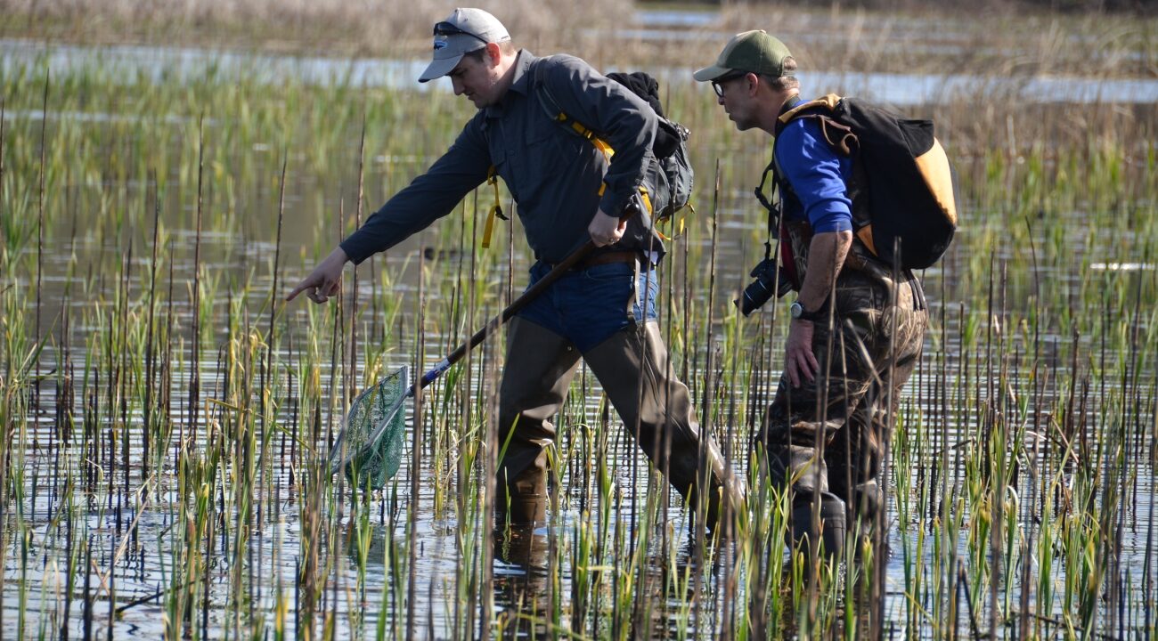 Conservation Jobs Fall Sharply in 2025