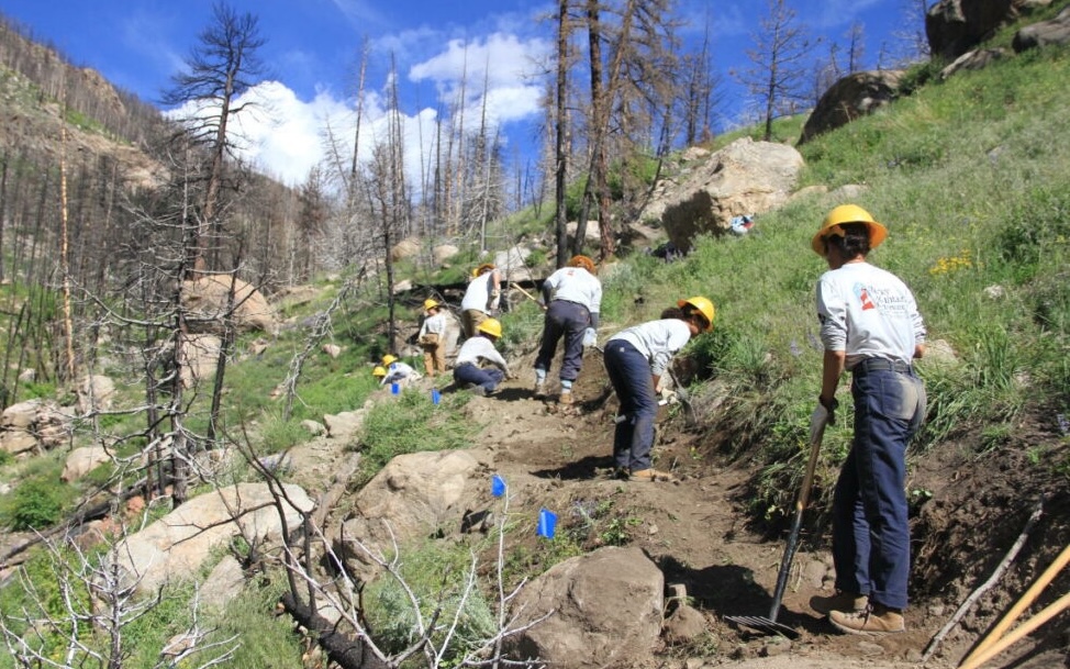 Field-Tested Women's Pants: a Guide for Conservation Workers